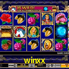 Descubra a Essência do winxx: Nossa História e Compromissos